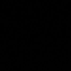 Meet your Posher, Shoshanna